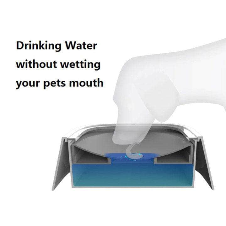 MagicBowl™ Dog Water Bowl - RAPBLUE