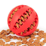 Pet Rubber Ball - RAPBLUE