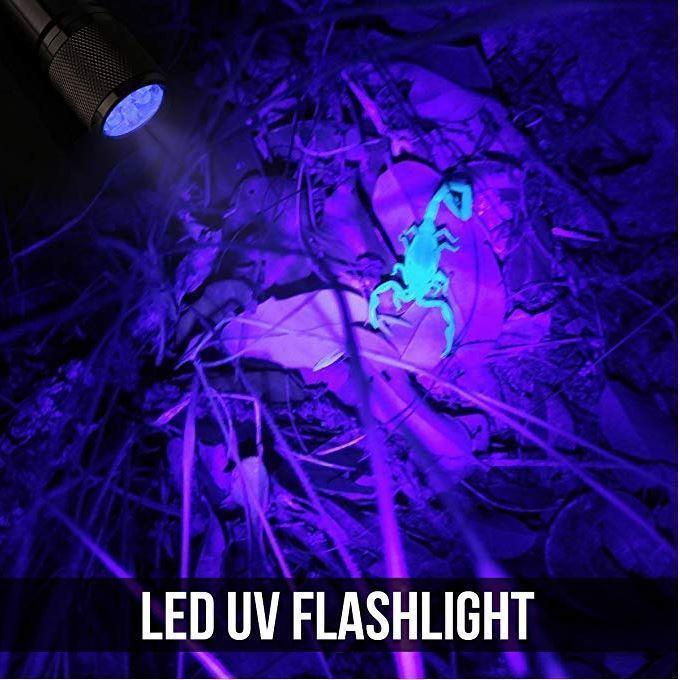 Ultraviolet LED Flashlight - RAPBLUE