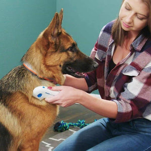 Electric Flea & Tick Comb - RAPBLUE