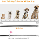 Remote Dog Training Shock Collar with 3 Correction Remote Training Modes - RAPBLUE