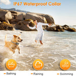 Remote Dog Training Shock Collar with 3 Correction Remote Training Modes - RAPBLUE