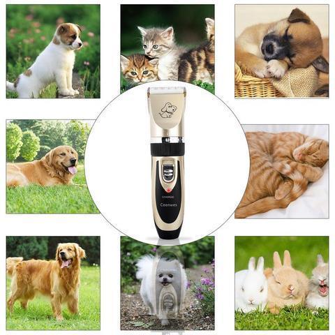 Low noise pet hair clipper - RAPBLUE