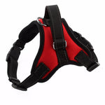 Adjustable Dog Harness - RAPBLUE