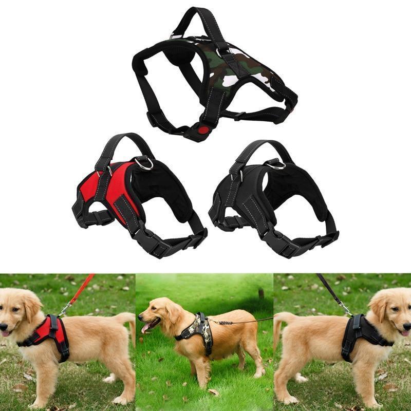 Adjustable Dog Harness - RAPBLUE