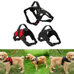 Adjustable Dog Harness - RAPBLUE