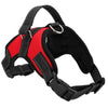 Adjustable Dog Harness - RAPBLUE