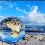 Limited Edition Crystal Ball Feng Shui - RAPBLUE