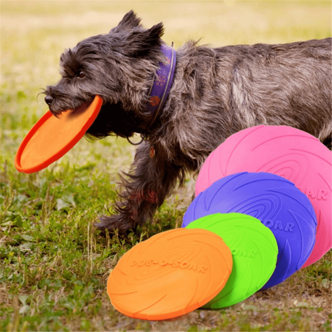 Dog Flying Discs & Ring Toys - RAPBLUE