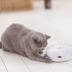 Smart Electric Cat Tease Toy - RAPBLUE