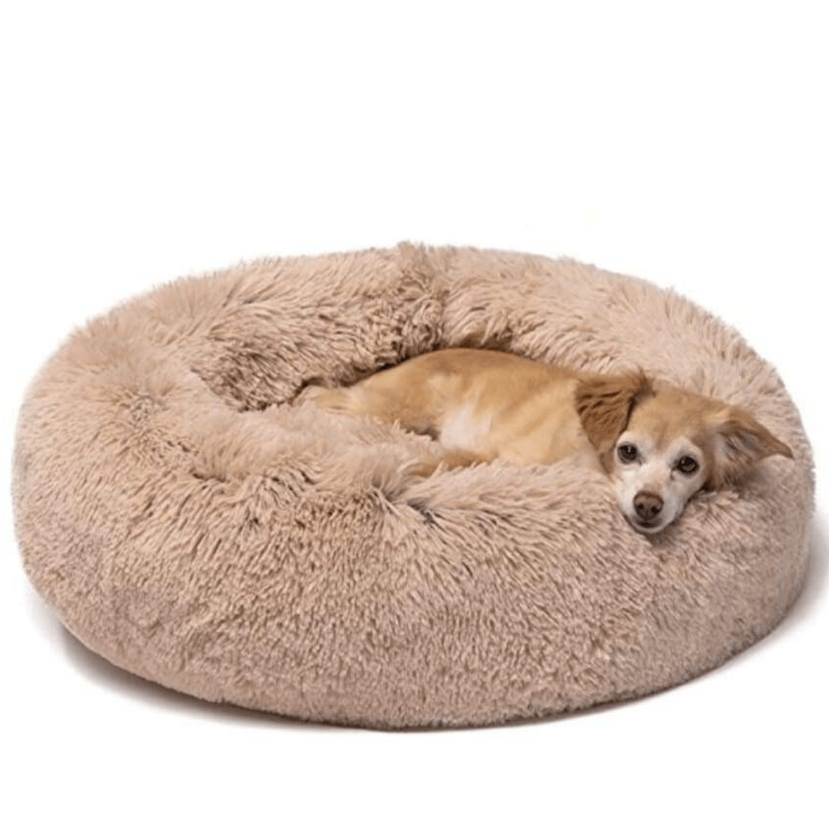 Soothing Dog Bed - RAPBLUE