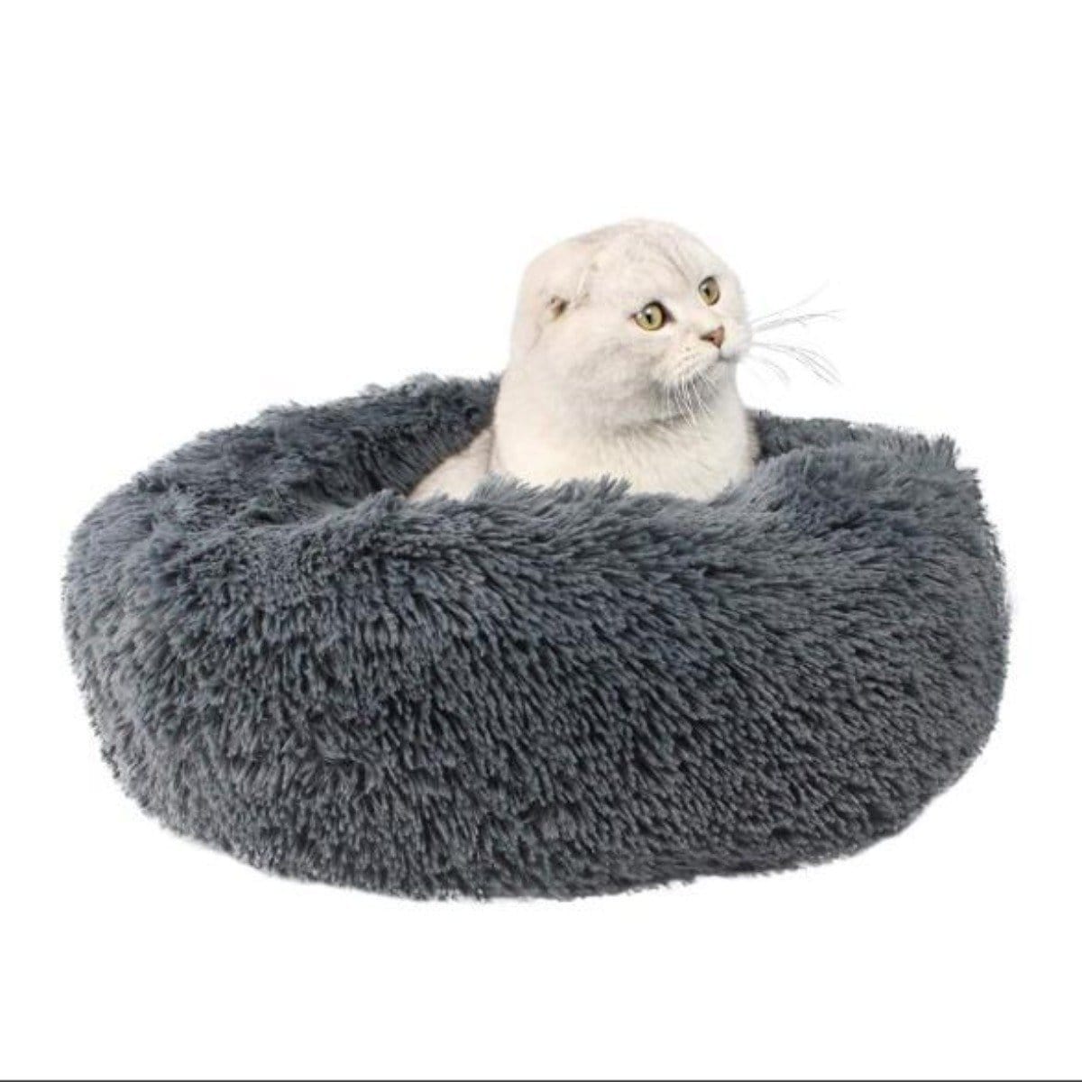 Round & Raised Cat Marshmallow Bed - RAPBLUE