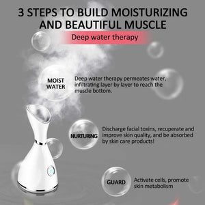 Cleansing Nano Facial Steamer - RAPBLUE