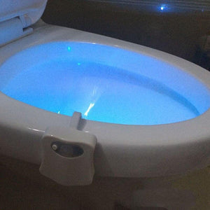 Smart Bathroom Toilet Nightlight LED Body Motion Sensor - RAPBLUE