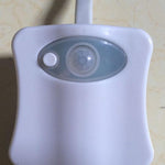 Smart Bathroom Toilet Nightlight LED Body Motion Sensor - RAPBLUE