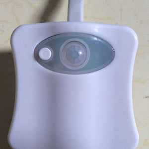 Smart Bathroom Toilet Nightlight LED Body Motion Sensor - RAPBLUE