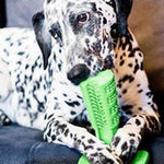Magic Dog Toothbrush - RAPBLUE