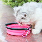 2 in 1 Folding Pet Water Dispensers Bottle - RAPBLUE