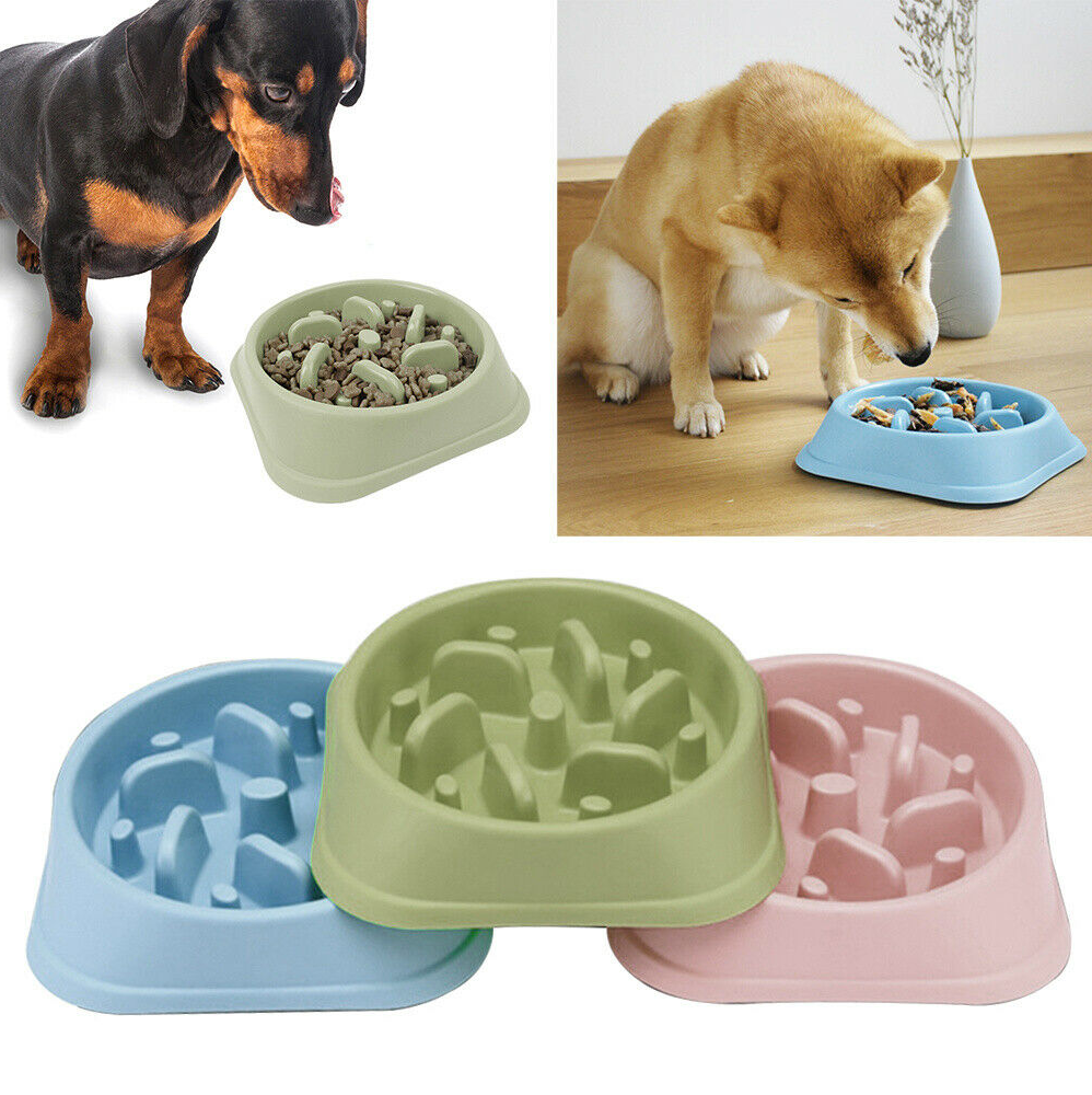 Dog Cat Slow Eating Bowl - RAPBLUE