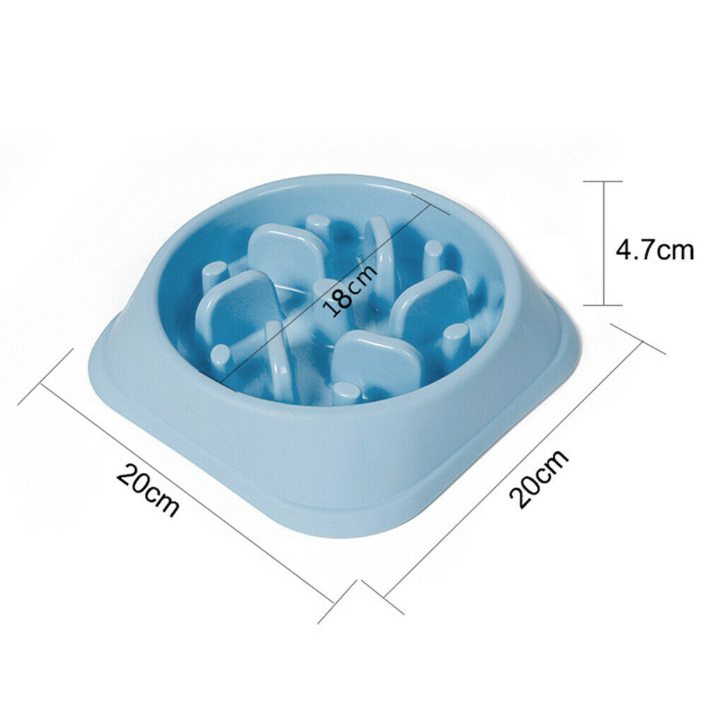 Dog Cat Slow Eating Bowl - RAPBLUE