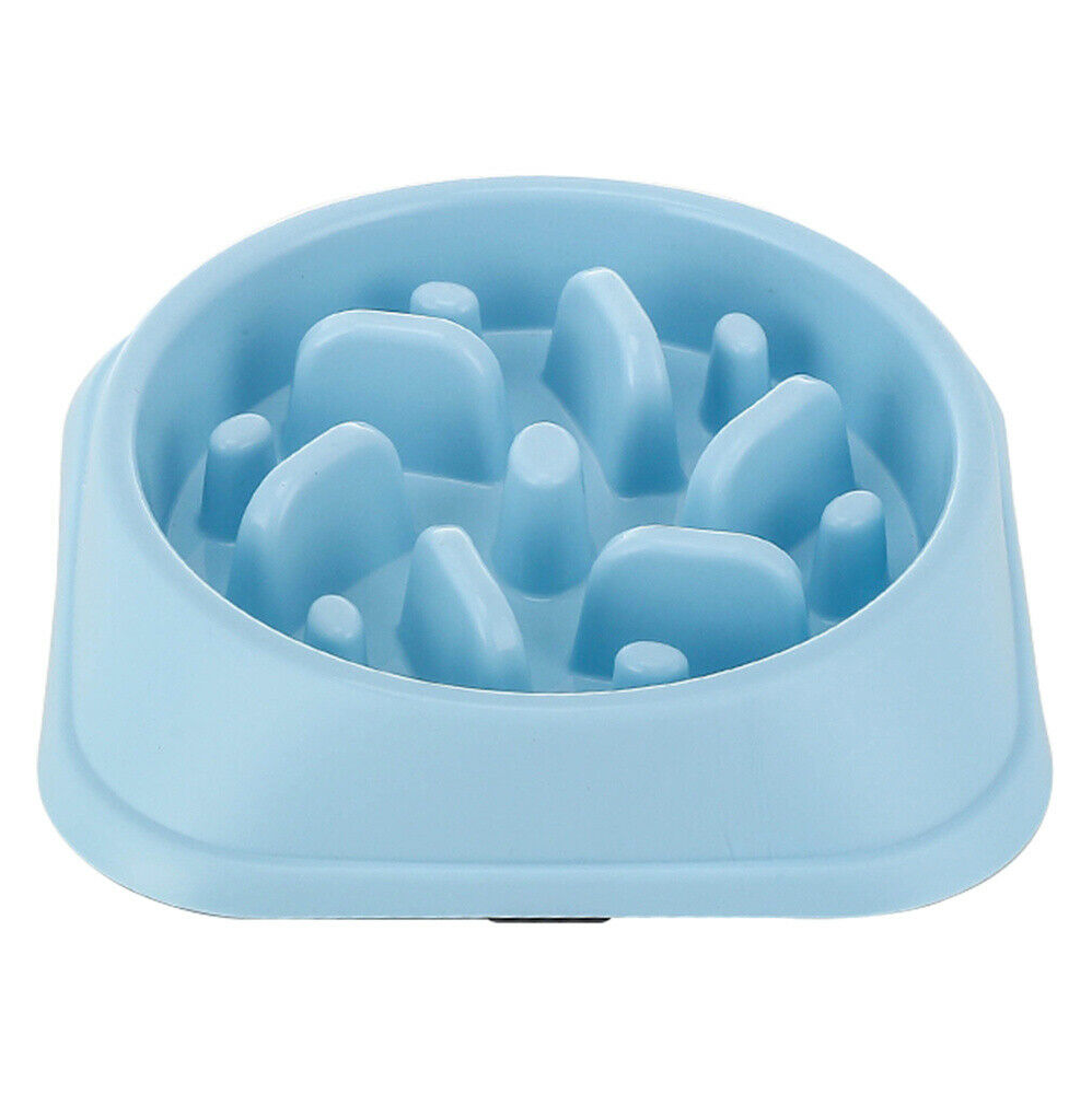 Dog Cat Slow Eating Bowl - RAPBLUE