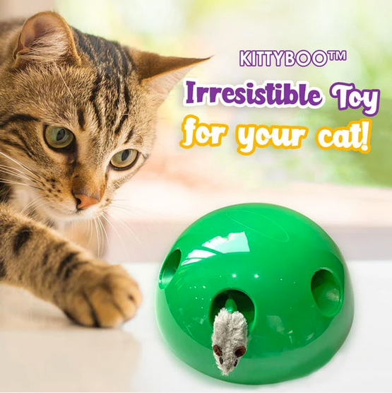 Peek-A-Boo Cat Toy - RAPBLUE