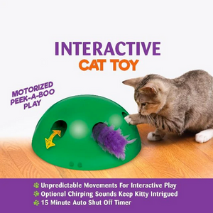 Peek-A-Boo Cat Toy - RAPBLUE