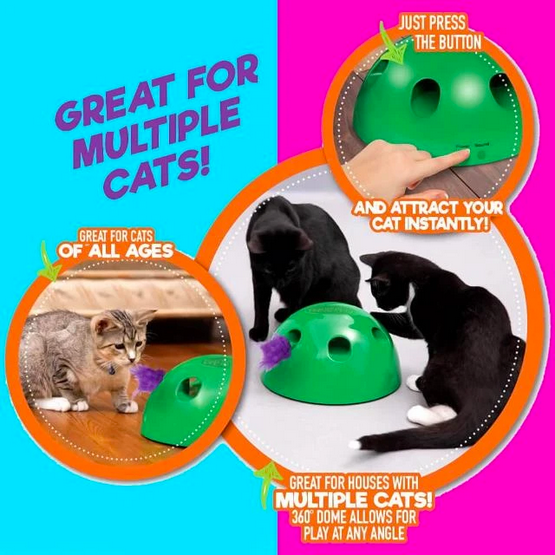 Peek-A-Boo Cat Toy - RAPBLUE