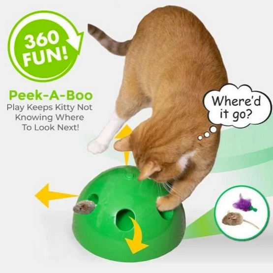 Peek-A-Boo Cat Toy - RAPBLUE