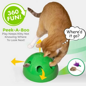 Peek-A-Boo Cat Toy - RAPBLUE