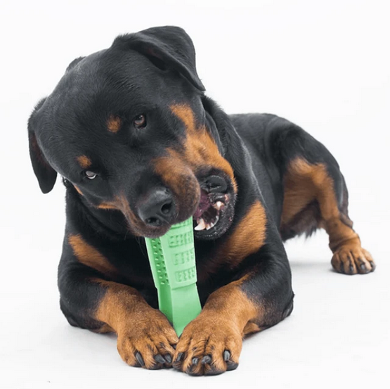 DOG Teeth Cleaning Stick - RAPBLUE