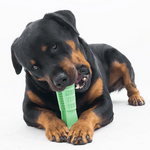 DOG Teeth Cleaning Stick - RAPBLUE