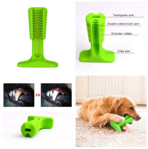 DOG Teeth Cleaning Stick - RAPBLUE