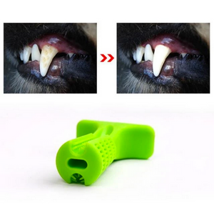 DOG Teeth Cleaning Stick - RAPBLUE