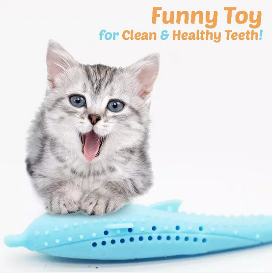 Cat Dental Toy - RAPBLUE