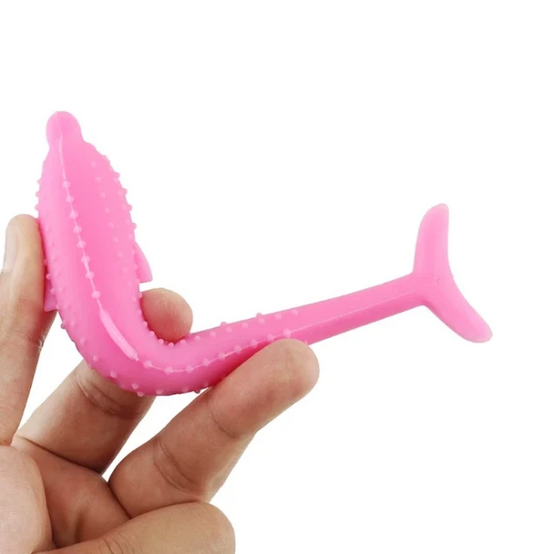 Cat Dental Toy - RAPBLUE