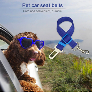 Dog's Car Seat Belt - RAPBLUE