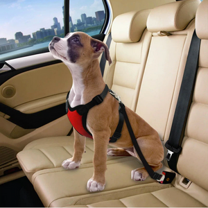 Dog's Car Seat Belt - RAPBLUE