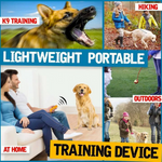 3-1 Dog Trainer Device - RAPBLUE