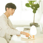 LE Tree & Lake Desk Lamp - RAPBLUE
