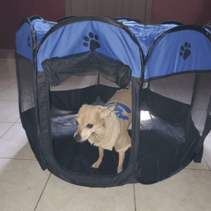 In-Door Dog Portable Playpen - RAPBLUE