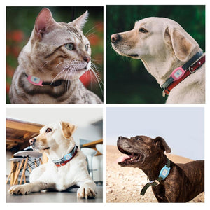 Pet GPS Collar - For Dogs and Cats - RAPBLUE