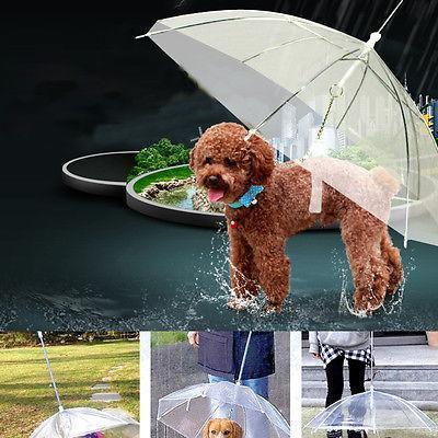 Dog Umbrella - RAPBLUE