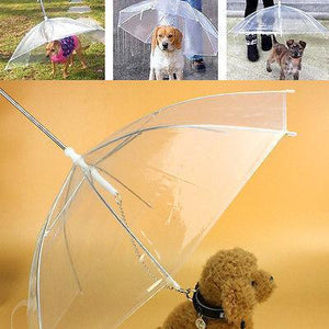 Dog Umbrella - RAPBLUE