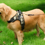 Dog Vest Harness - RAPBLUE