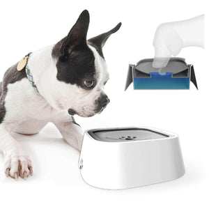 MagicBowl™ Dog Water Bowl - RAPBLUE