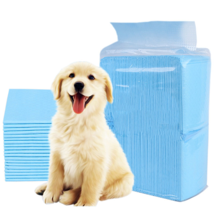 Dog Training Pee Pad - RAPBLUE