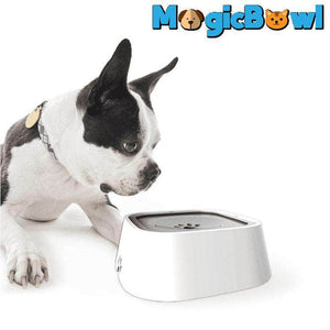 MagicBowl™ Dog Water Bowl - RAPBLUE