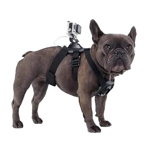 Action Cam Mount Dog Harness - RAPBLUE