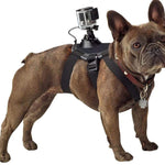 Action Cam Mount Dog Harness - RAPBLUE